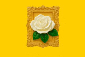 spitak caxik Սպիտակ վարդ։ Հուշանվեր։