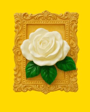 spitak caxik Սպիտակ վարդ ոսկեզոծ շրջանակի մեջ